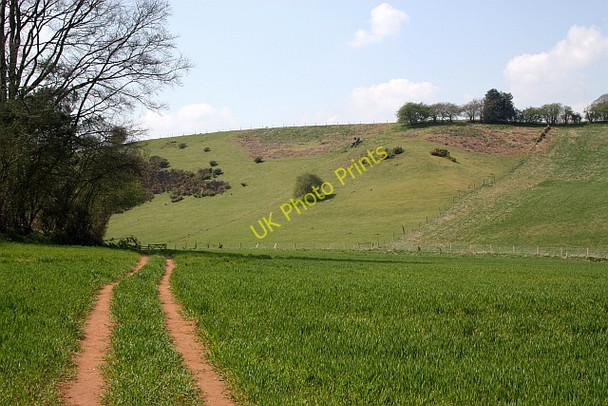 Photo 6"x4" Footpath near Cobhill Rough Murrell's End\/SO7430 c2010