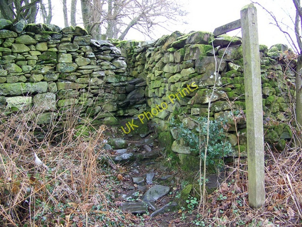Photo 6"x4" Footpath to Millthrop Sedbergh c2010