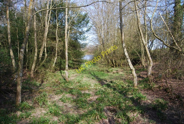 Photo 6"x4" Dried up lake, Rectory Park Broad Ford c2010