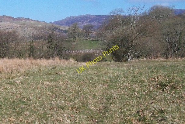 Photo 6"x4" Footpath to Clenennau Golan c2010