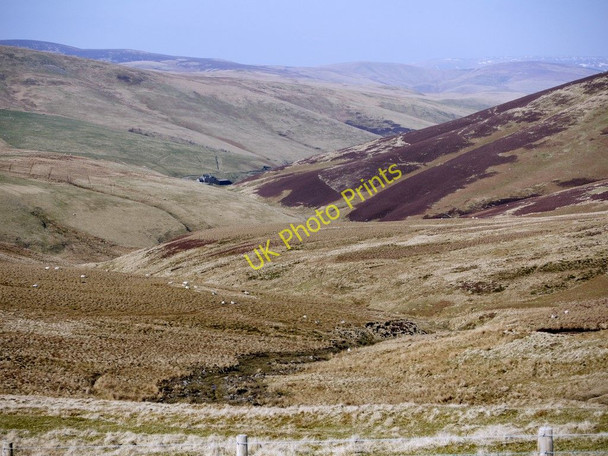 Photo 6"x4" Coquetdale above Makendon Upper Hindhope c2010