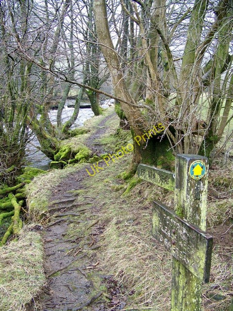 Photo 6"x4" Footpath, Cowgill Cowgill\/SD7587 c2010