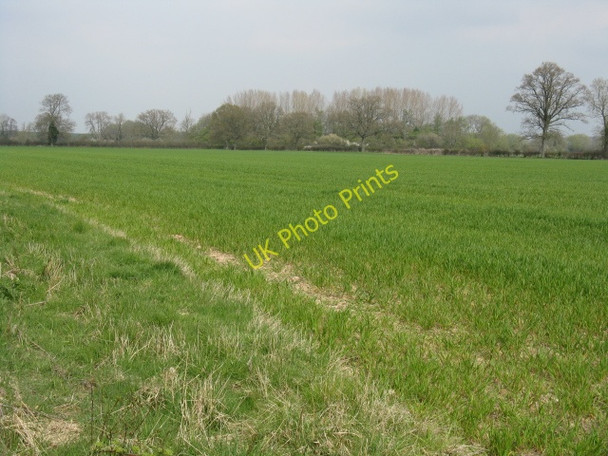 Photo 6"x4" Field north of Moor Brook Monkland\/SO4557 c2010