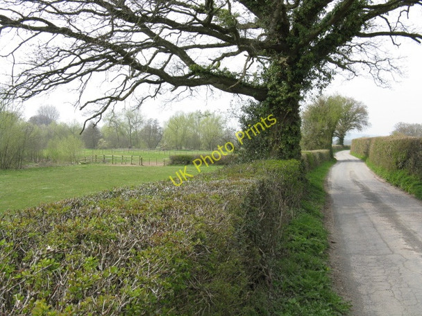 Photo 6"x4" Fields and lane near Folly Farm Eardisland c2010