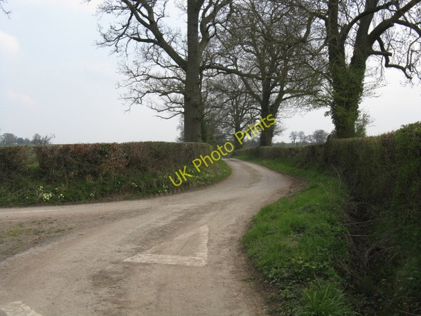 Photo 6"x4" Lane to Bidney Farm Lower Burton c2010
