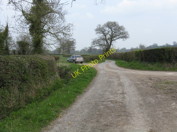 Photo 6"x4" Lane to Lower Burton Lower Burton c2010