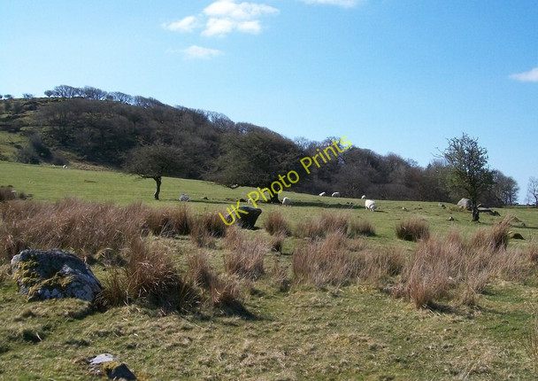 Photo 6"x4" Sheep pastures below Gesail Gyfarch Golan c2010