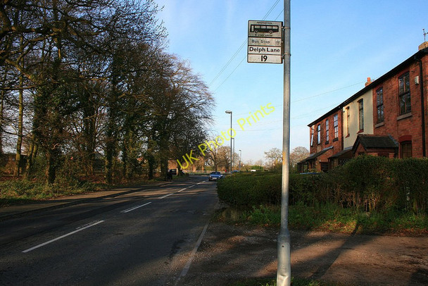 Photo 6"x4" Bus stop on Southworth Lane Hermitage Green c2010
