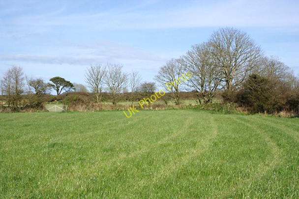 Photo 6"x4" Silage Grass St Keverne c2010