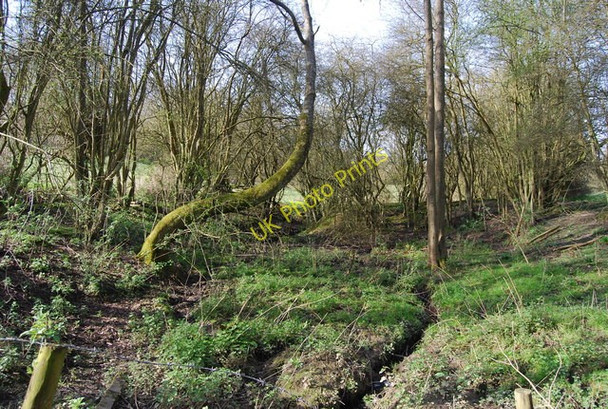 Photo 6"x4" Wooded stream near Brenchley Palmer's Green c2010