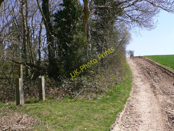 Photo 6"x4" Bridleway with footpath to the left Eartham c2010