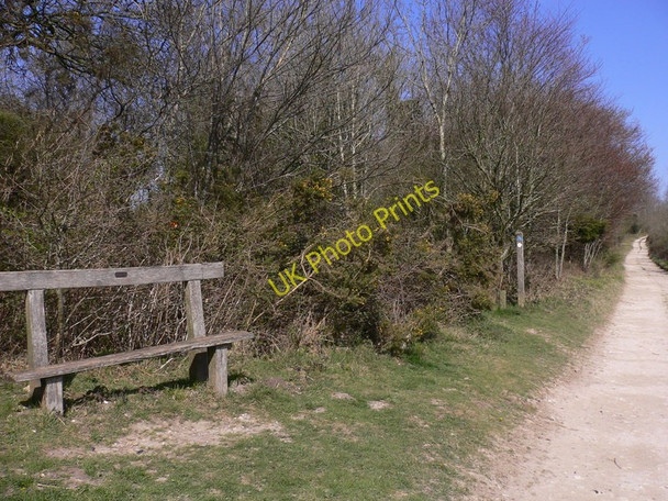 Photo 6"x4" Memorial seat near Gumber Corner Bignor c2010