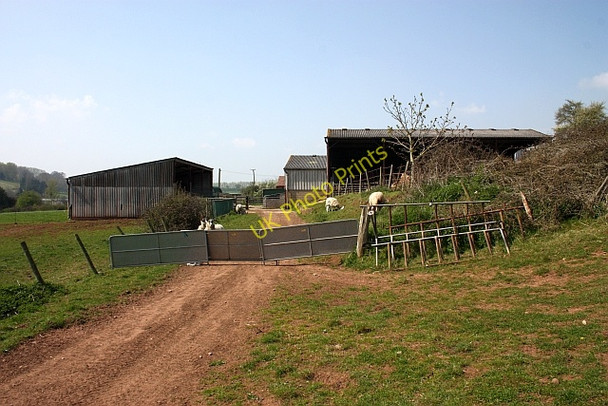 Photo 6"x4" Let sleeping lambs lie, Ketford Farm Ketford c2010