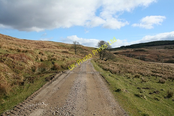 Photo 6"x4" Ballochroy Glen Ballochroy Burn c2008