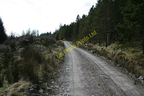 Photo 6"x4" Kintyre Forestry Road (1) Cruach Mhic Gougain c2008