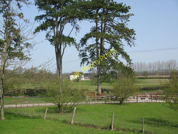 Photo 6"x4" View towards Swallow Mill Farm, Little Chart Little Chart c2010