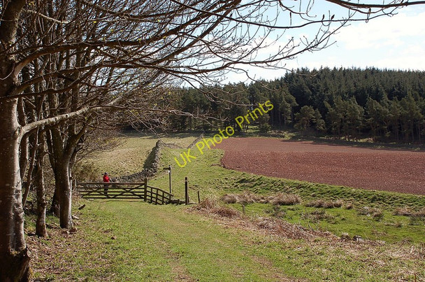 Photo 6"x4" Junction on the Southern Upland Way East Mains\/NT5647 c2010