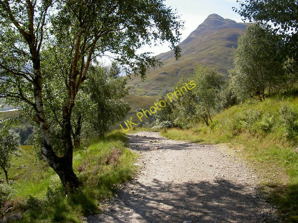 Photo 6"x4" West Highland Way the last lap Kinlochmore c2004