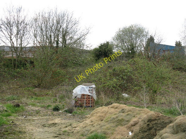 Photo 6"x4" Wisbech - waste ground off Osborne Road Wisbech c2010