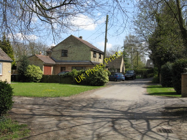 Photo 6"x4" Elm - Halfpenny Lane Wisbech c2010