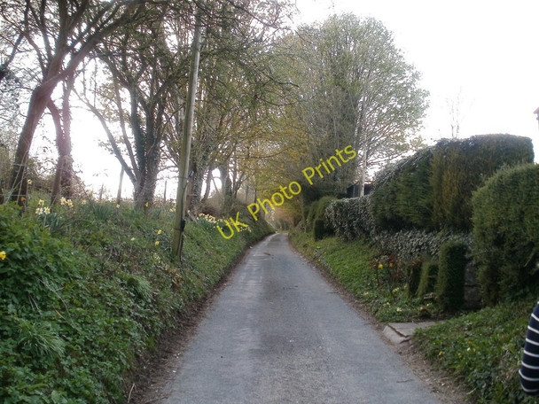 Photo 6"x4" Old Sodbury, Hill Lane Old Sodbury c2010