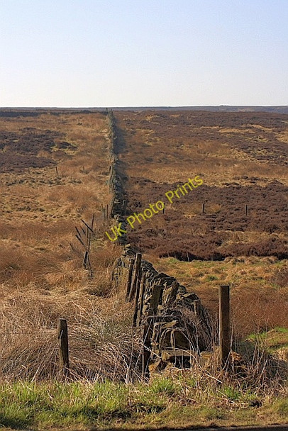 Photo 6"x4" Wall Boundary, Moscar Flat Hollow Meadows c2010