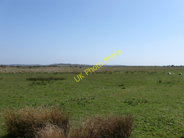 Photo 6"x4" Ladylands Marsh Wartling c2010