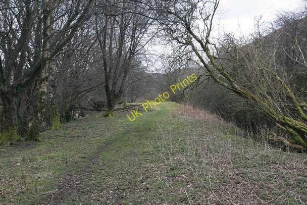 Photo 6"x4" Heading down the railbed Llanwrthwl c2010