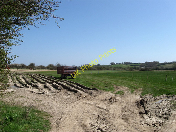 Photo 6"x4" Collice Field Hall's Close c2010