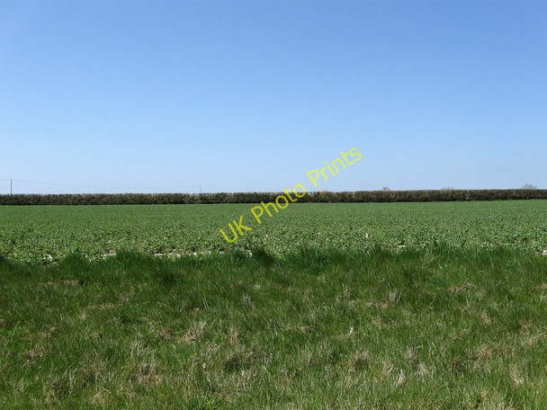 Photo 6"x4" Pound Piece Field Hall's Close c2010
