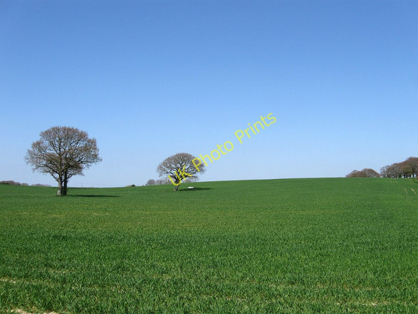 Photo 6"x4" Long Field Hall's Close c2010