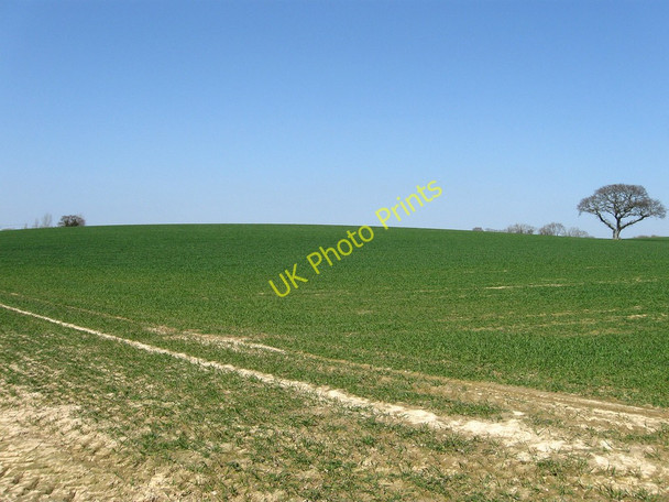 Photo 6"x4" Worg Field Hall's Close c2010