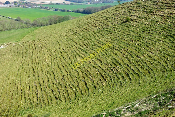 Photo 6"x4" Terracettes above Kingston near Lewes Kingston near Lewes c2010