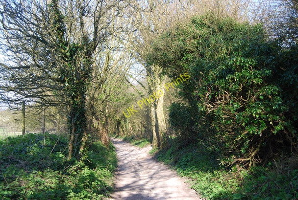 Photo 6"x4" Bridleway, Holt Bottom Jevington c2010