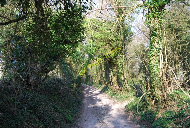 Photo 6"x4" Bridleway, Holt Bottom (2) Jevington c2010