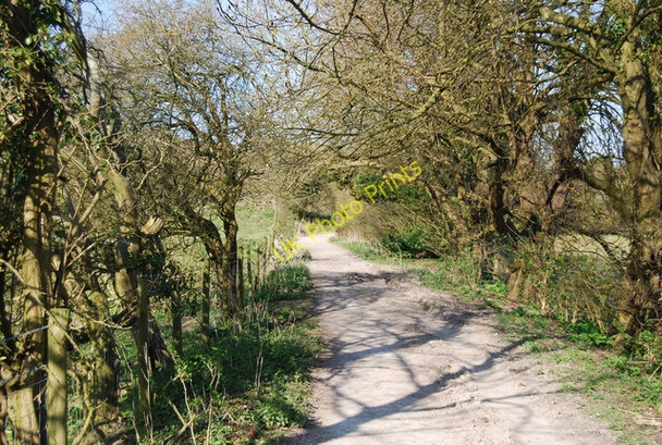 Photo 6"x4" Bridleway, Holt Bottom (2) Folkington c2010