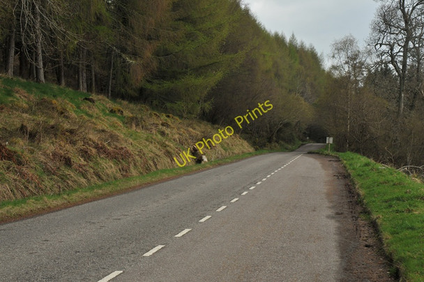 Photo 6"x4" B852 on the shore of Loch Ness near Erchite Wood Torness\/NH5827 c2010