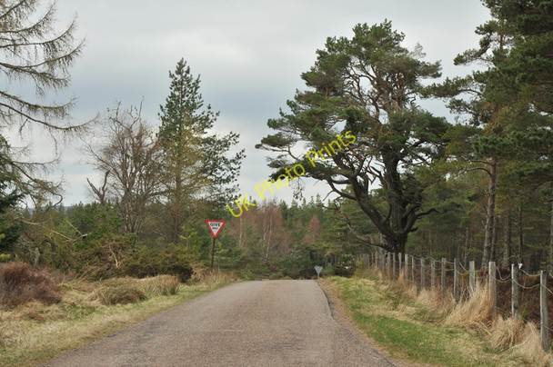 Photo 6"x4" Minor road near Loch Ashie Dores c2010