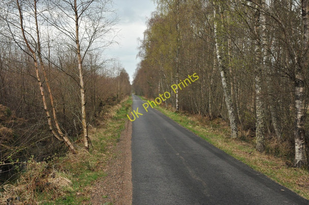 Photo 6"x4" Minor road near Scaniport Dochgarroch c2010