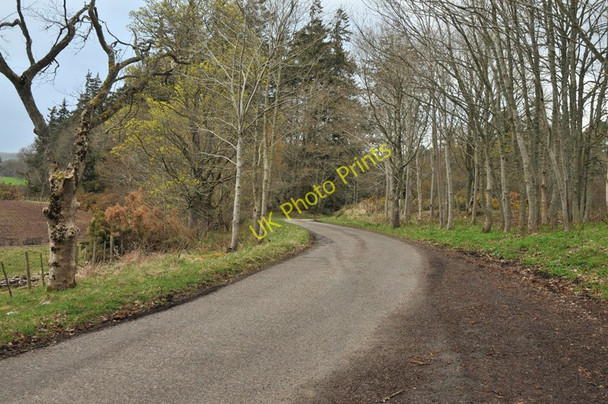 Photo 6"x4" Minor road near Scaniport Dochgarroch c2010