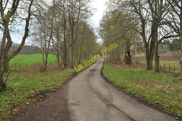 Photo 6"x4" Minor road near Kinchyle Dochgarroch c2010