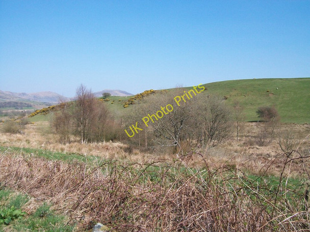 Photo 6"x4" Valley wetland between the Ymwlch road and Bryn Hywel hill Golan c2010