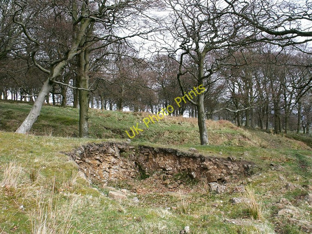 Photo 6"x4" Corrie, corrie. Balmalloch\/NS7078 c2010