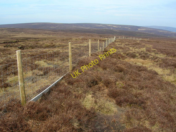 Photo 6"x4" Moorland fence Bleasdale c2010