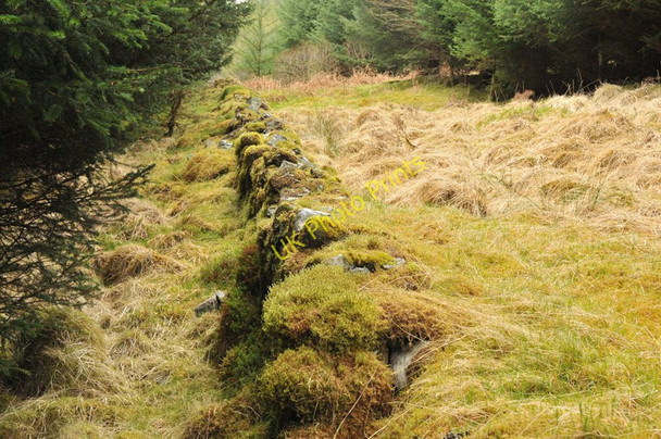 Photo 6"x4" Boundary wall in the forest in Glen Orchy Am M\u00e0m\/NN2430 c2010