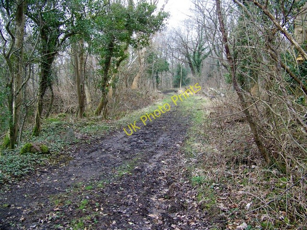 Photo 6"x4" Footpath near Waberthwaite Broad Oak\/SD1194 c2010