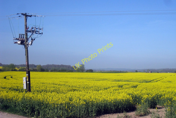 Photo 6"x4" Field of Oilseed Rape at Newenden Newenden c2010