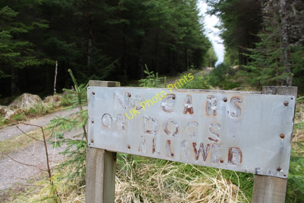 Photo 6"x4" An old sign in Corrour Forest Torgulbin c2010