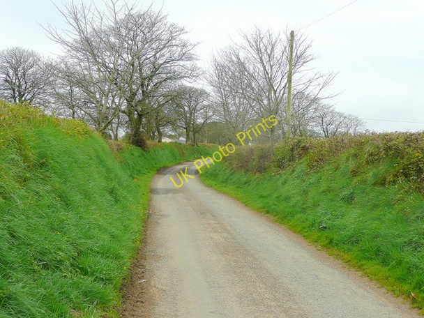 Photo 6"x4" Lane to Spittal Spittal\/SM9723 c2010
