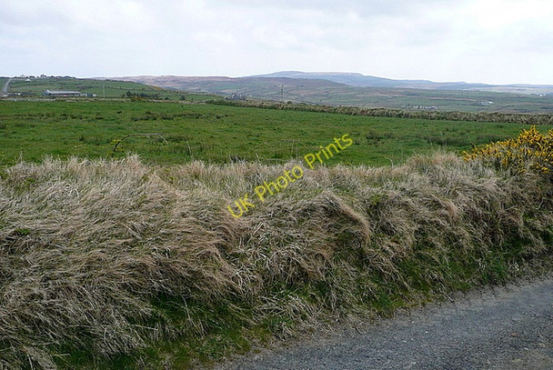 Photo 6"x4" Pasture at Kilcorcoran Milltown Malbay c2010